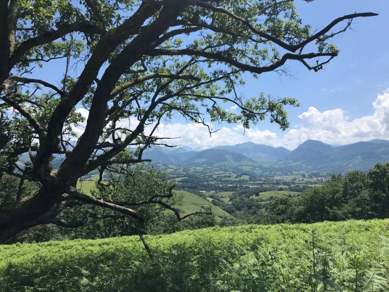 Randonnée : VTT N°3 Tour de Lanne-en-Barétous