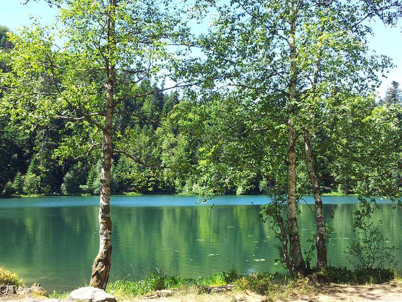 Randonnée : Circuit pédestre - Lac de la Maix (Vexaincourt)