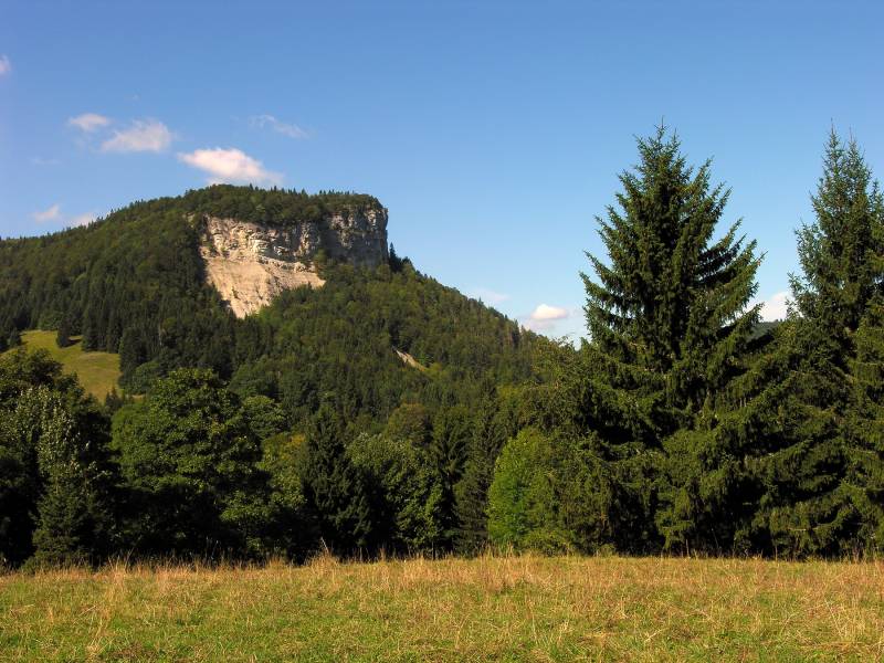 Randonnée : Le Mont Fier