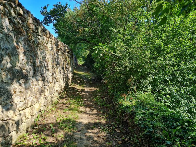 Randonnée : Variante de la boucle VTT des Vaillants