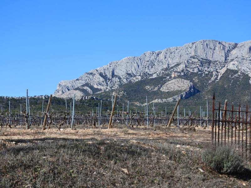 Randonnée : Le vignoble de Ste Victoire, sous l'oeil de Cézanne