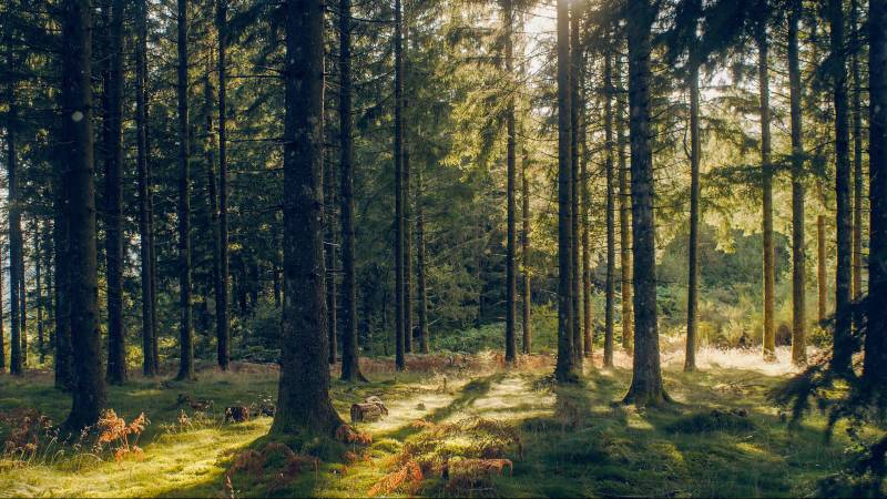 Randonnée : Les Roches de Scoeux