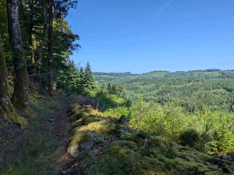 Randonnée : Landes et Tourbières