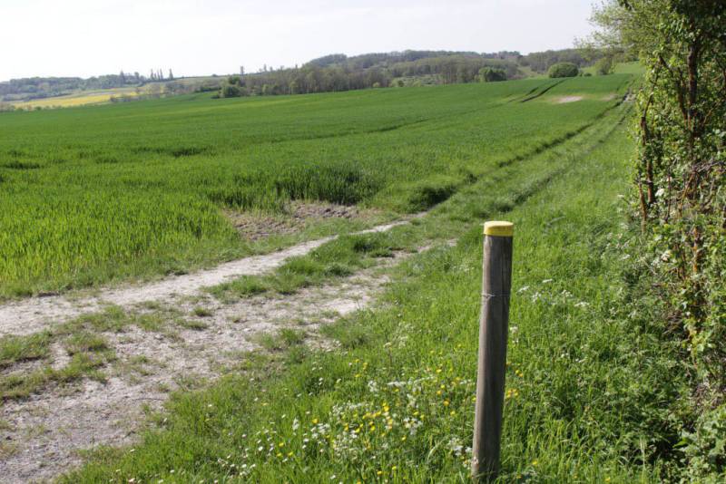 Randonnée : Pêcher à l'Etang Lescouroroux à Eymet - Boucle de Saint Julien d'Eymet