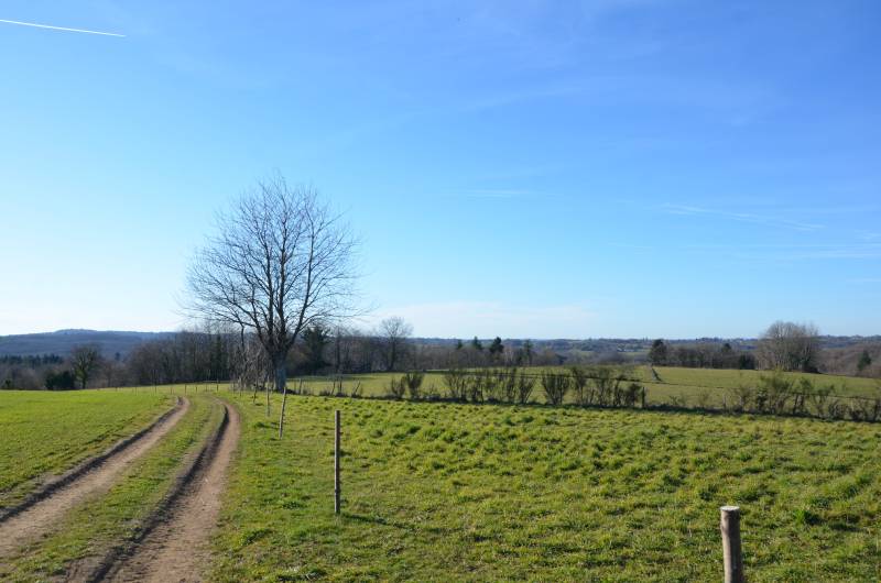 Randonnée : Circuit de Caux