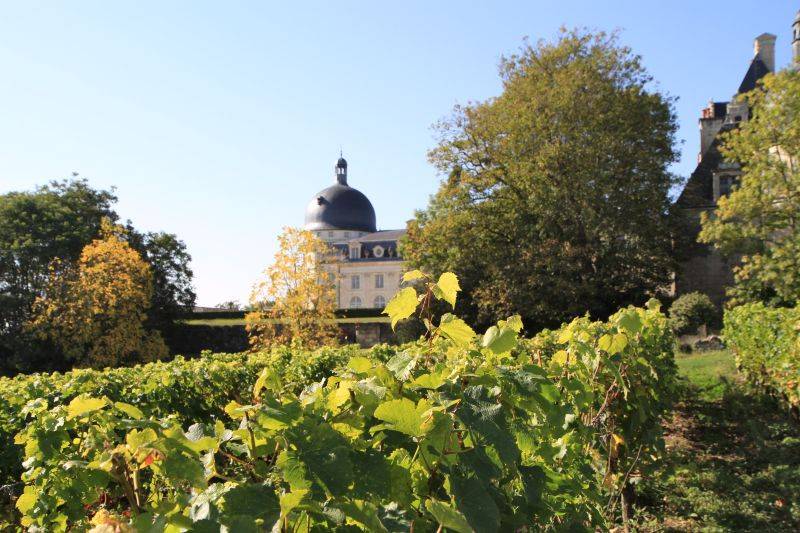Randonnée : GR de Pays de Valençay - Boucle "Vins et Fromages de Valençay"