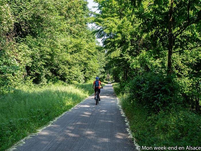 Randonnée : Circuit VTT 7 - Entre Vignes et Vergers