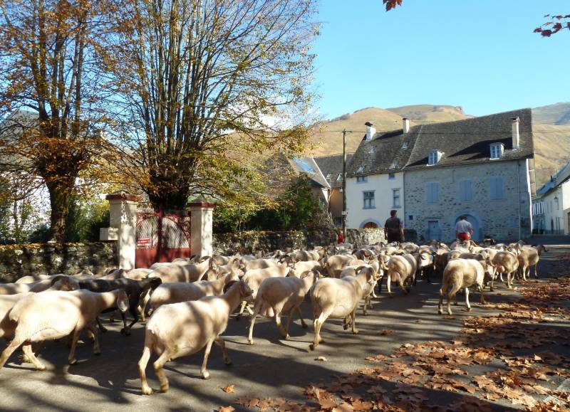 Randonnée : Balade à Roulettes n°47 : Au village d'Accous