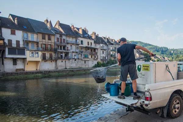Randonnée : Le Lot à Saint-Côme-d'Olt et Espalion (lâchers de truites)