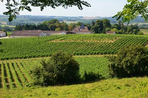 Randonnée : Circuit vignes et vergers en Duraquois