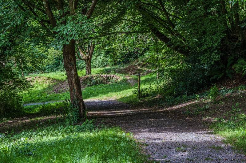 Randonnée : Trail > La vallée du Bulsard