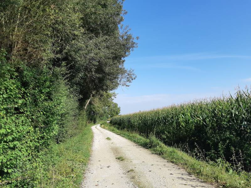 Randonnée : Entre fontaines et rivières - Fontenille Saint-Martin-d'Entraigues