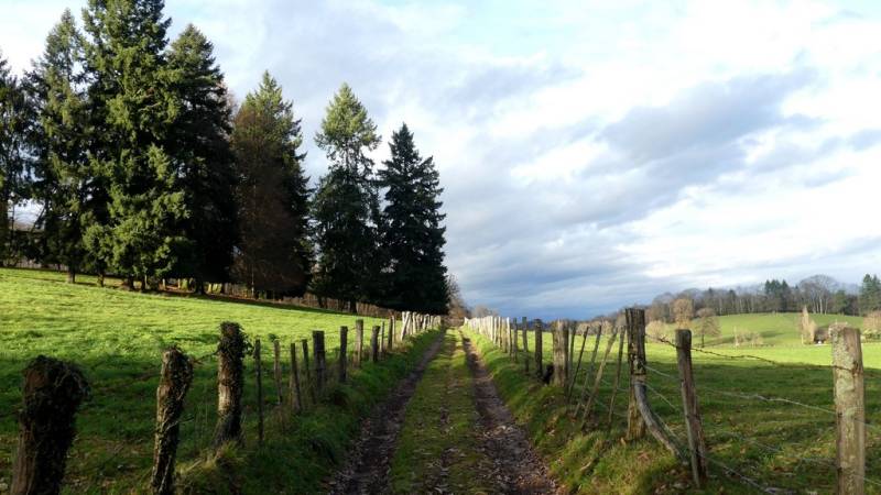 Randonnée : Au Pied des Monédières