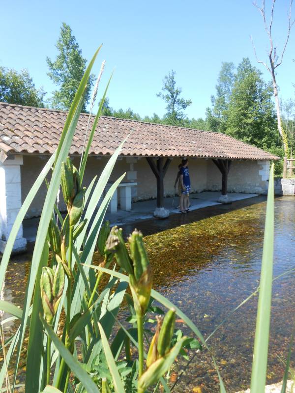 Randonnée : Les Randos des Nounous - Le Bulidor à Creyssac