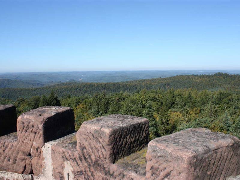 Randonnée : Randonnée au détour du Breitenwasen
