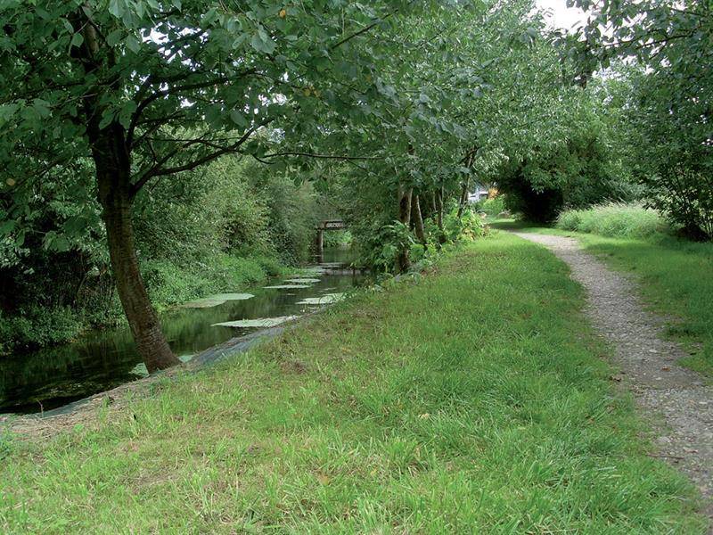 Randonnée : Au fil de l'Ill et du Dollerbaechlein