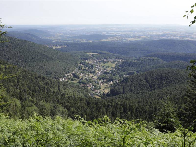 Randonnée : Circuit des Pandours - Marche nordique