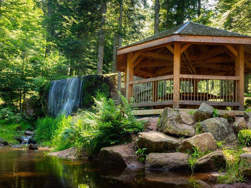 Randonnée : Micro-aventure : l'échappée sauvage entre forêts mystiques et patrimoines cachés