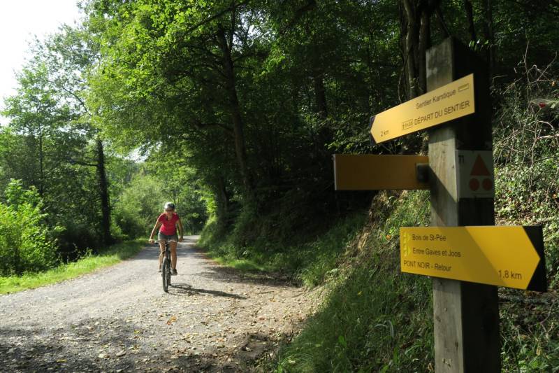 Randonnée : VTT N° 69 Tour de Saint-Pée