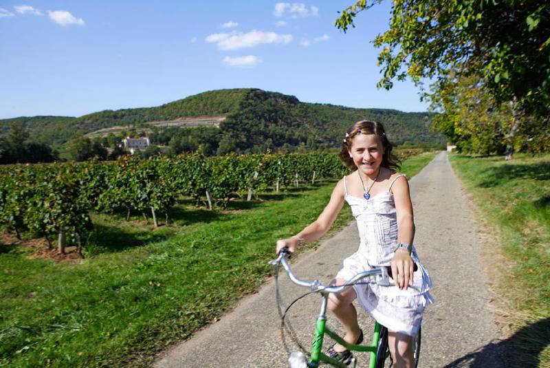 Randonnée : Au Travers du Vignoble de Cahors