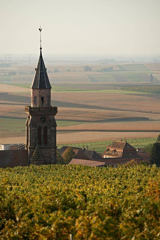 Randonnée : Circuit de la Couronne d'Or 11 km