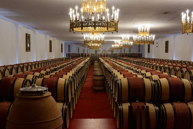 Randonnée : Aventure entre vignes et architecture
