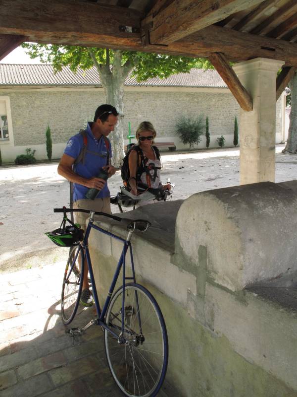 Randonnée : Saint Andiol - Cabannes : L'arbre et le Patrimoine
