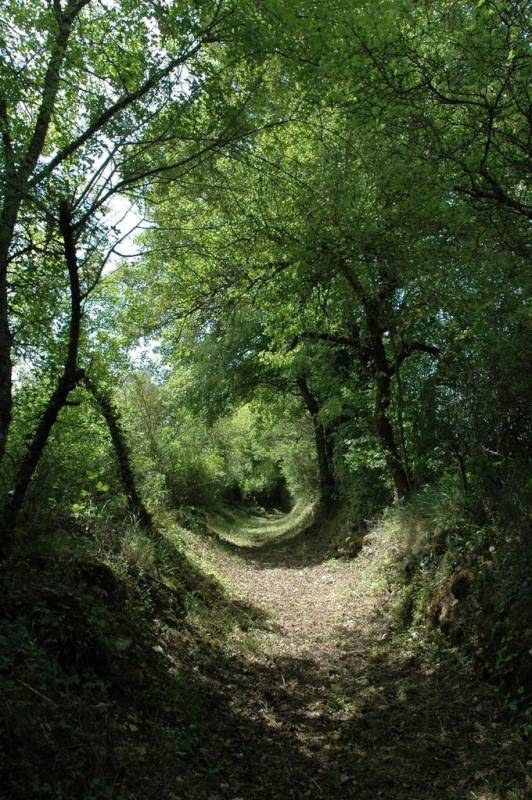 Randonnée : La Grande Boucle du Parc : Etape 4 : De Champniers-Reilhac aux Salles-Lavauguyon