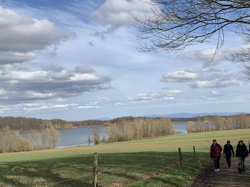 Randonnée : Marche santé Aspach-le-Bas Barrage