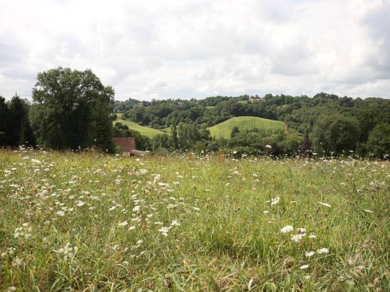 Randonnée : De Navailles-Angos au lac de Balaing