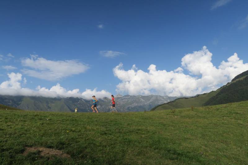 Randonnée : N°24 Trail de Bergout