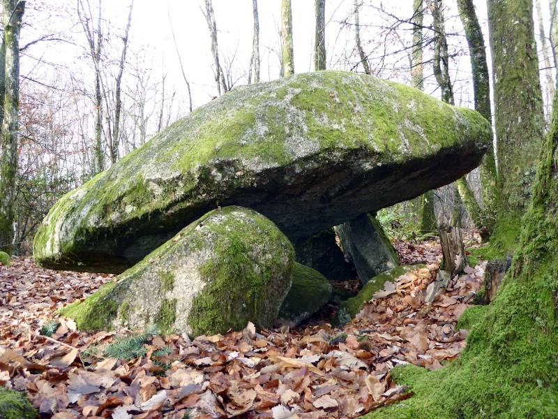 Randonnée : Base VTT FFC des Monts du Limousin - Circuit 4 Le dolmen