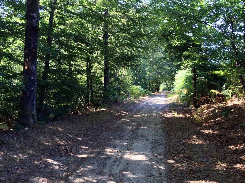 Randonnée : Sentier des Demoiselles