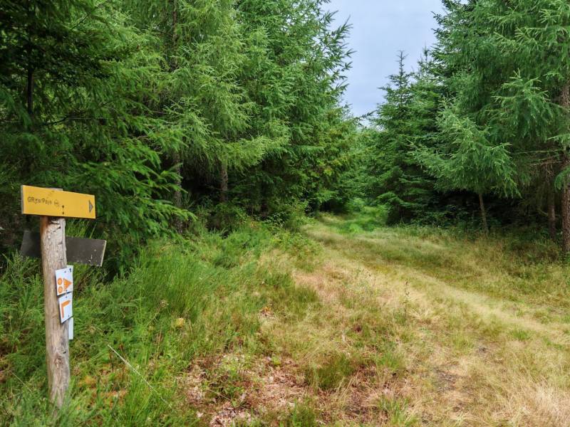 Randonnée : Circuit Pédestre N°52 : La Forêt de Chantegris