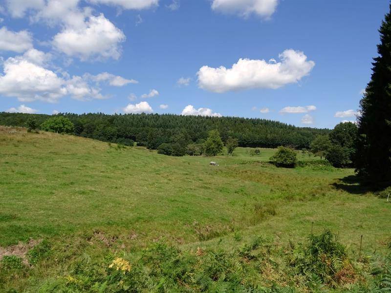 Randonnée : Circuit des 12 sources