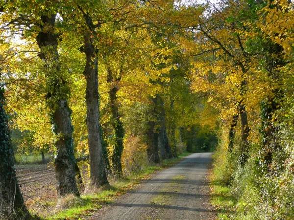 Randonnée : Circuit route du Pays Rignacois