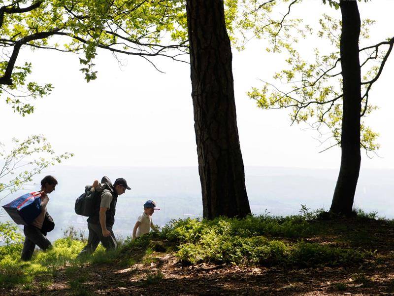 Randonnée : Circuit de randonnée vers le camp celtique