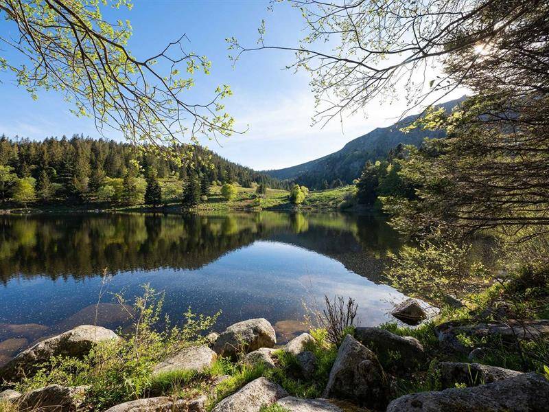 Randonnée : Randonnée des 2 Lacs : le Lac du Forlet et le Lac Vert
