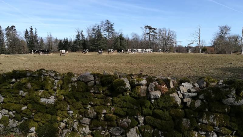 Randonnée : Sentier de Muret