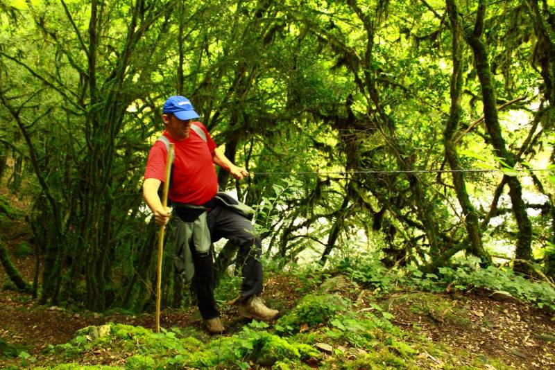 Randonnée : A l'affût de la faune sauvage dans les Gorges de l'Auvézère