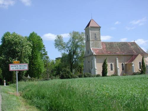 Randonnée : Sainte-Maure-de-Peyriac, l'arbre et le cep
