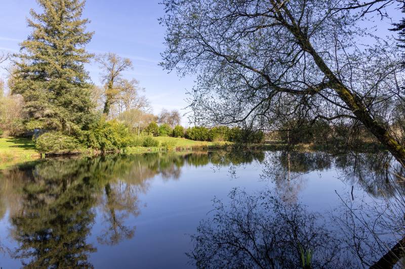 Randonnée : Sentier des petits ruisseaux