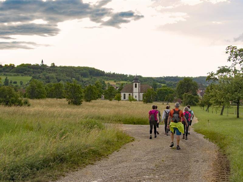 Randonnée : Le Kirchberg, entre Thal et Berg