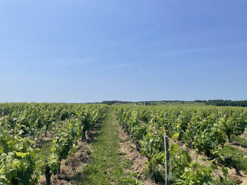 Randonnée : Variante du Lyssandre à l'Engranne