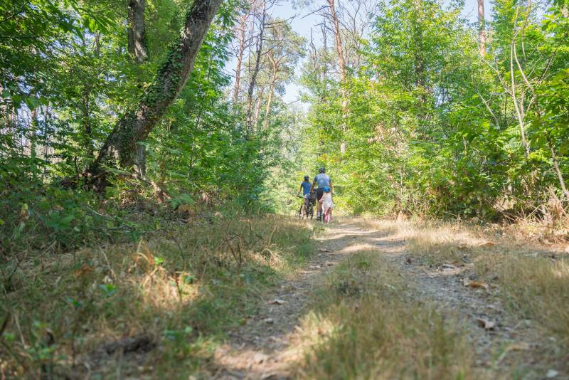 Randonnée : Sur les Pas d'André Theuriet