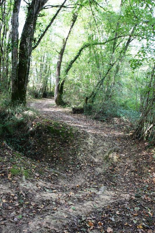 Randonnée : A Samadet, circuit du camp romain