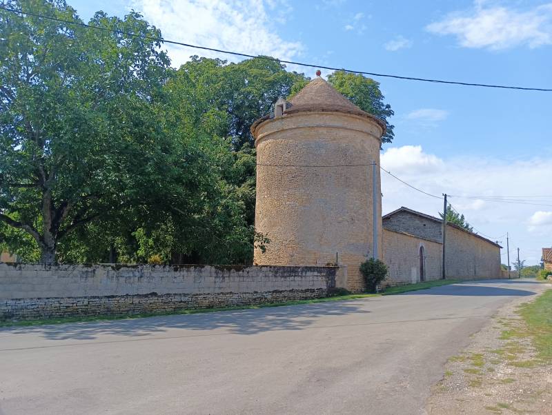 Randonnée : Vieilles pierres et champs de couleur - Bonneuil