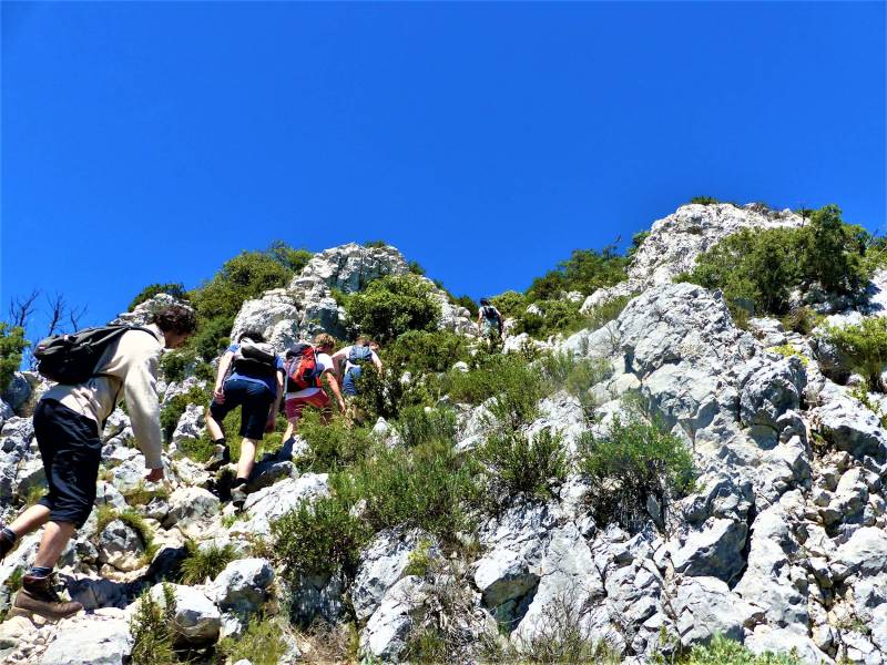 Illustration : SAINT-RÉMY-DE-PROVENCE - La crête des Alpilles