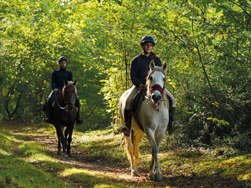 Randonnée : Moncaup : au cœur du Madiranais à cheval