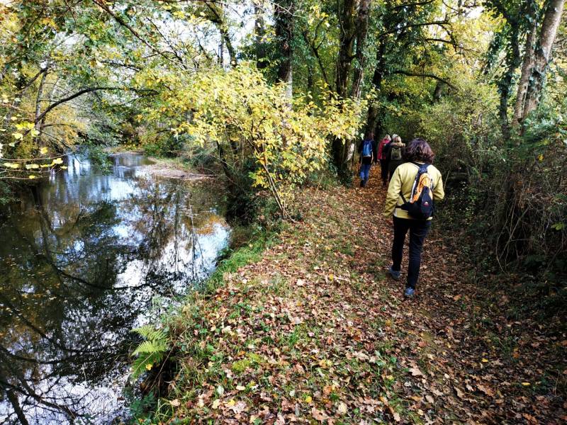 Randonnée : Montagut : le Luy de France